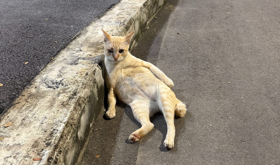 The paradox of freedom and restlessness